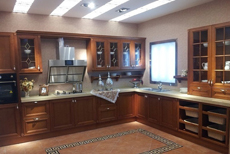 ��ʽ����