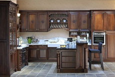 ��ʽ����